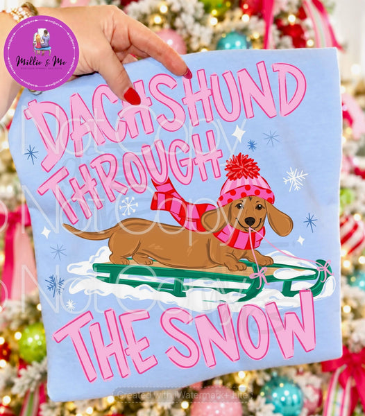Dachshund through the snow