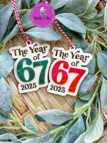 The Year of 6 7
