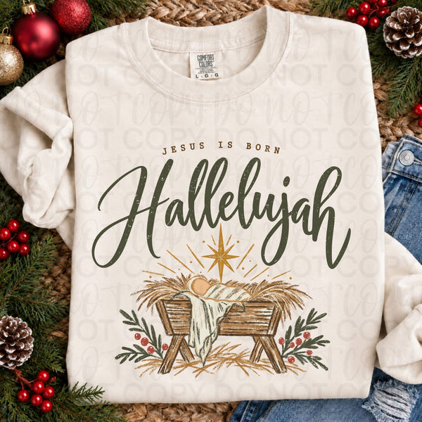 Jesus is Born