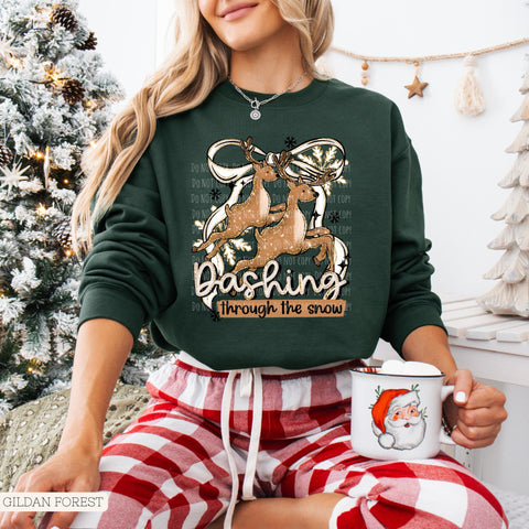 Dashing through the Snow