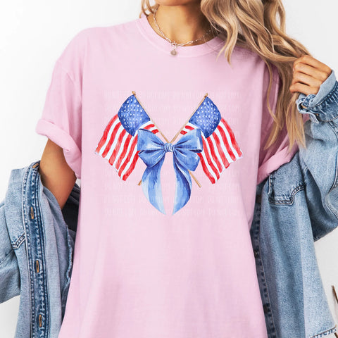 Watercolor Coquette Flag